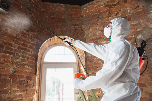 Best Comprehensive Air Testing for Mold Contaminants  in Chandler, AZ