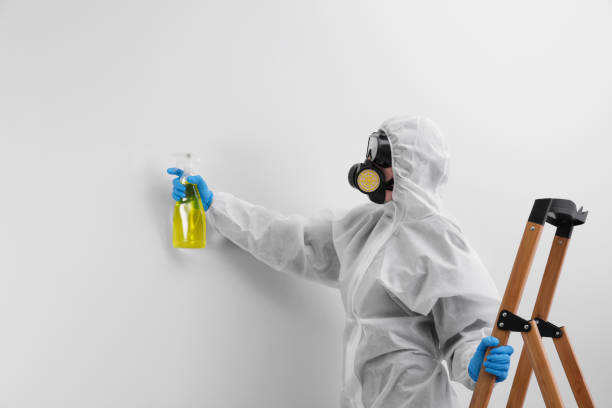 Reliable Chandler, AZ Mold Inspection Solutions