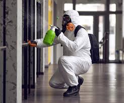 Best Commercial Mold Inspection  in Chandler, AZ